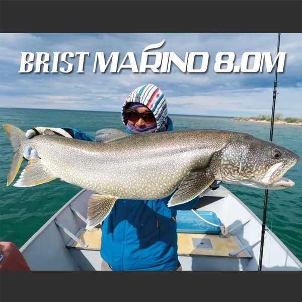 BRIST MARINO